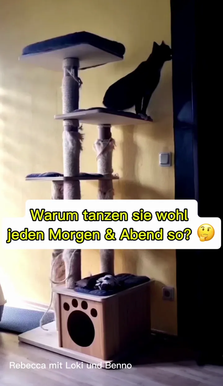 Loki & Benno lieben es